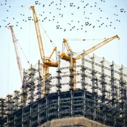 low angle photography of cranes on top of building